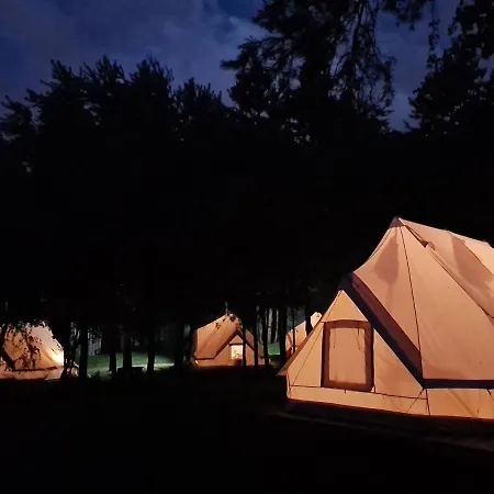 假日公园 Beescamp *