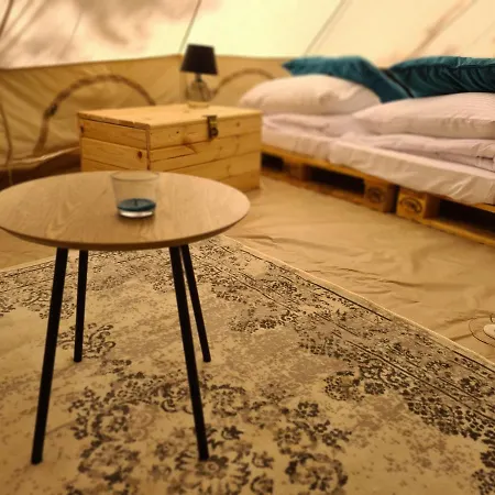 Beescamp * Olsztyn