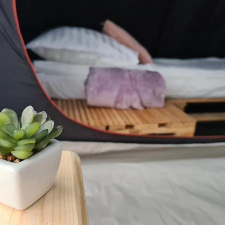 Beescamp 假日公园 奥尔什丁