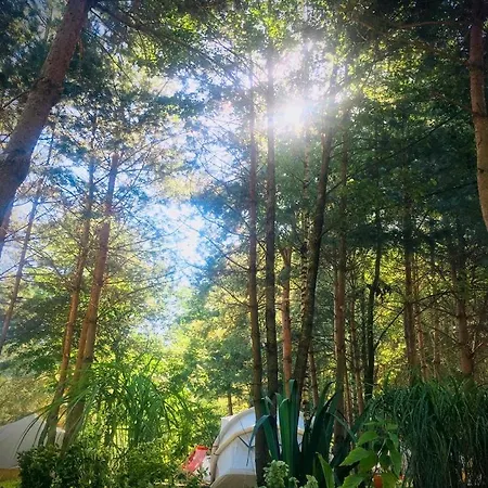 Beescamp 假日公园 奥尔什丁